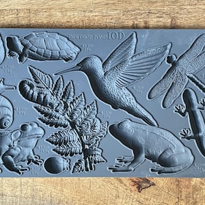 May include: A gray silicone mold featuring various nature-themed designs, including a snail, turtle, fern, hummingbird, dragonfly, frog, lizard, and ladybug. The text "DEWDROP POND IOD" is visible on the mold.