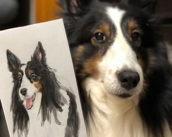 Hundeportrait Aquarell, Tierportrait Individuell, Hundeportrait, Katzenportrait, Haustierzeichnung, handgemaltes Aquarell, Originaltierportrait