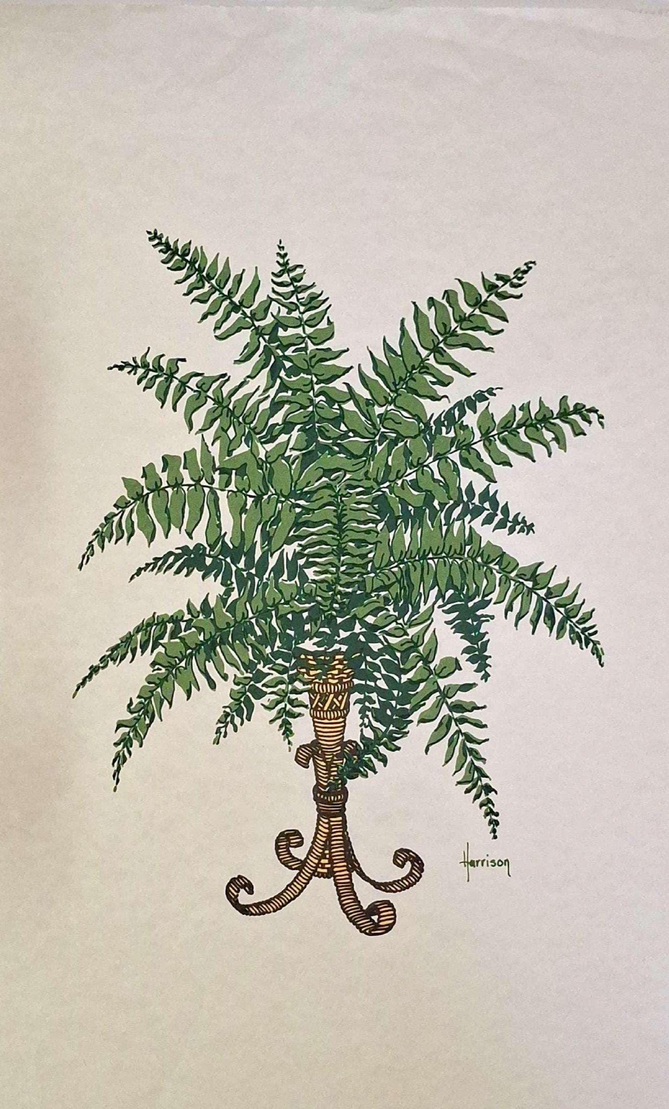 1960s Harrison Fern Lithograph Botanical