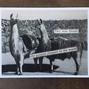 La Lama. Stampa lucida di collage originale di Erin Pazderka