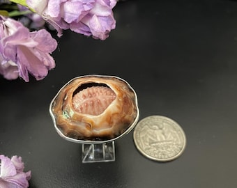 May include: A silver ring with a brown and pink seashell set in the center. The ring is on a clear display stand.