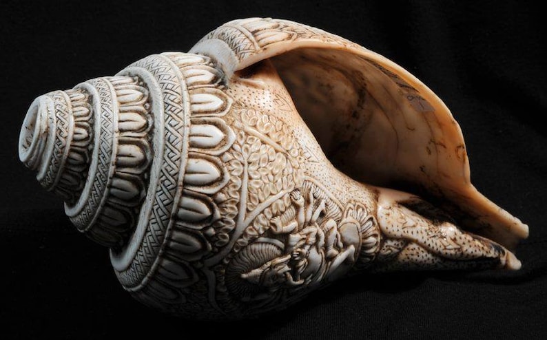 Vintage Sacred Conch Shell, Intricately Crafted, 8.5 Inch bild 9