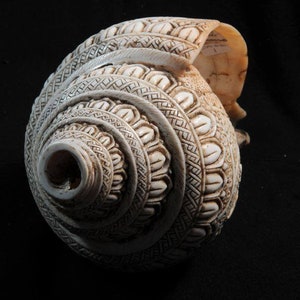 Vintage Sacred Conch Shell, Intricately Crafted, 8.5 Inch bild 6