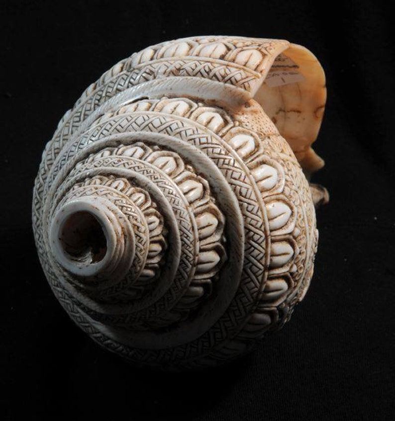 Vintage Sacred Conch Shell, Intricately Crafted, 8.5 Inch bild 6