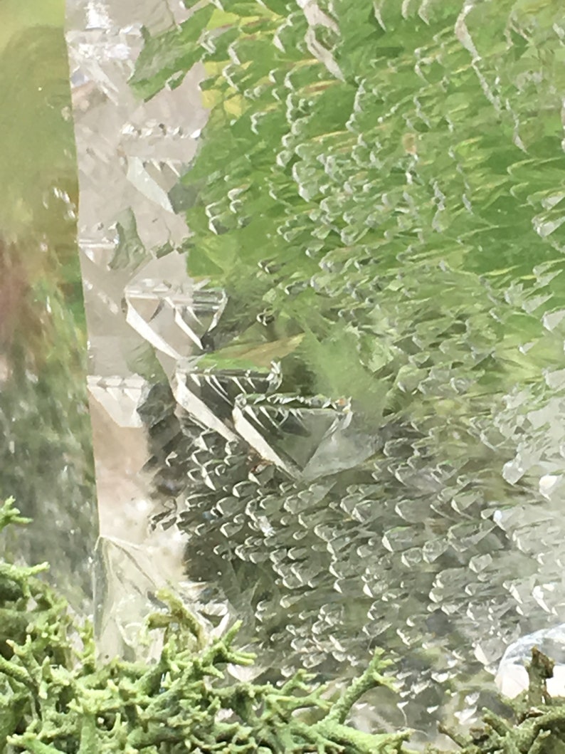 Oils of the Earth the Fragrance Comes From a Process Where Etsy