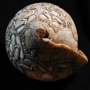 Vintage Sacred Conch Shell, Intricately Crafted, 8.5 Inch bild 4