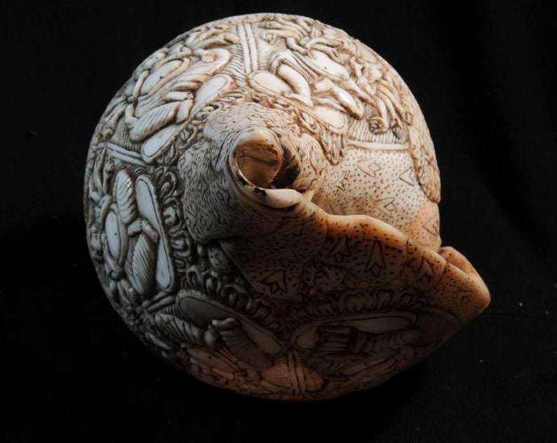 Vintage Sacred Conch Shell, Intricately Crafted, 8.5 Inch bild 4