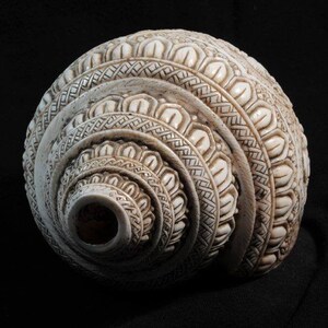 Vintage Sacred Conch Shell, Intricately Crafted, 8.5 Inch bild 8
