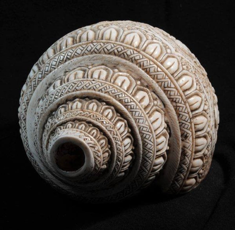 Vintage Sacred Conch Shell, Intricately Crafted, 8.5 Inch bild 8