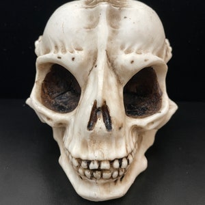 This extraterrestrial skull replica has been hand painted for a natural bone finish.  Made of cold cast resin. Hand-painted.