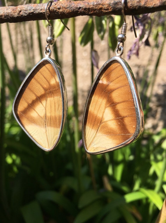 Earrings ~ Butterfly Wings, Sterling Silver, Butt… - image 1