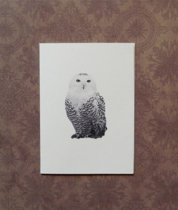 Set of 12 Handmade Blank Owl Print Note Cards Great Horned Snowy Owls Barred