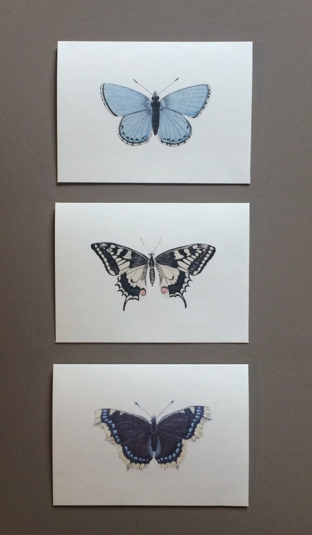 Set of 6 or 12 Handmade Blank Butterfly Print Note Cards #1 - Etsy