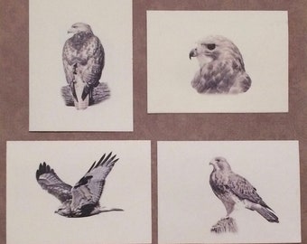 Set of 12 Handmade Blank Hawk Print Note Cards