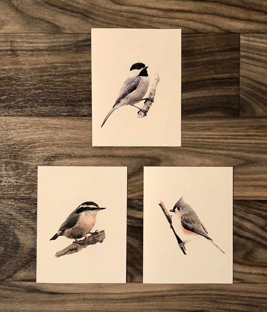 Set of 6 or 12 Handmade Blank Bird Print Note Cards Chickadee, Titmouse ...