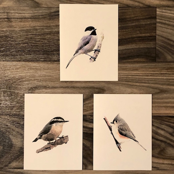 Set of 6 or 12 Handmade Blank Bird Print Note Cards Chickadee, Titmouse, Red Breasted Nuthatch