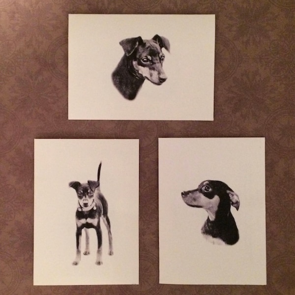 Set aus 6 oder 12 handgemachten Zwergpinscher Print Dog Print Grußkarten #2