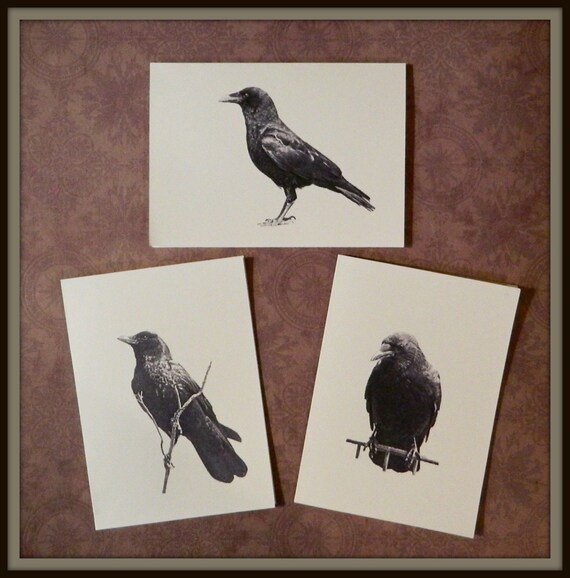 Set of 6 or 12 Handmade Blank Crow Print Note Cards