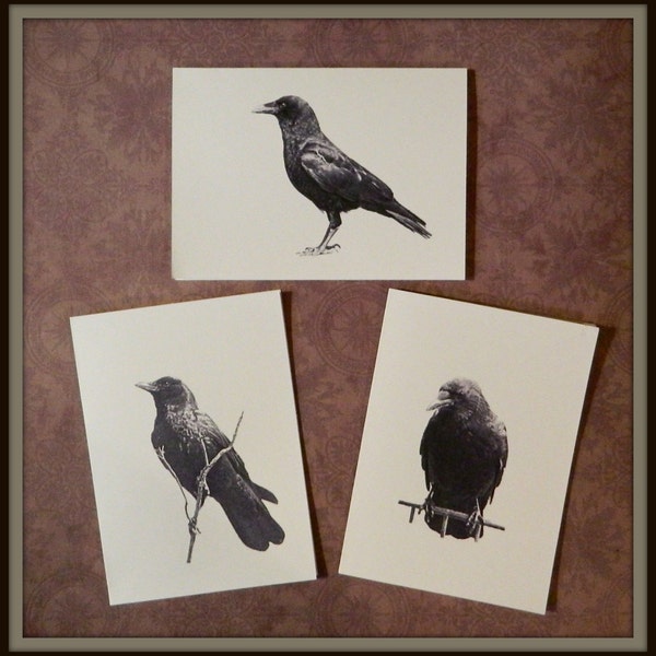 Set of 6 or 12 Handmade Blank Crow Print Note Cards