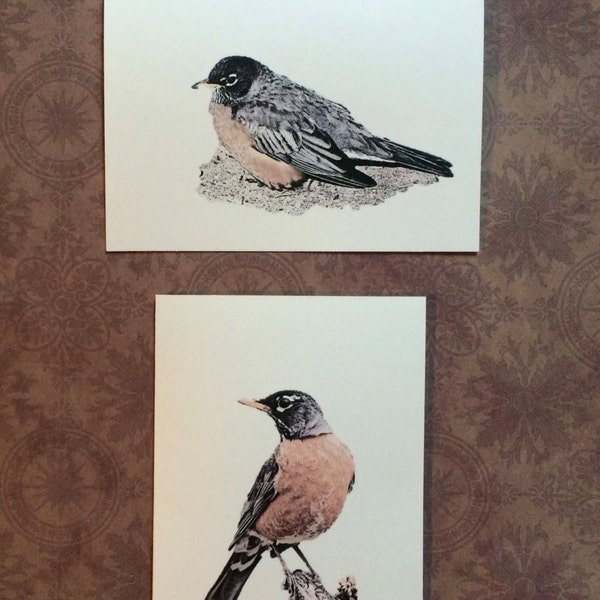 Set of 6 or 12 Handmade Blank American Robin Bird Print Note Cards