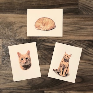 Set of 6 or 12 Handmade Blank Orange Tabby Ginger Cat Collection Note Cards