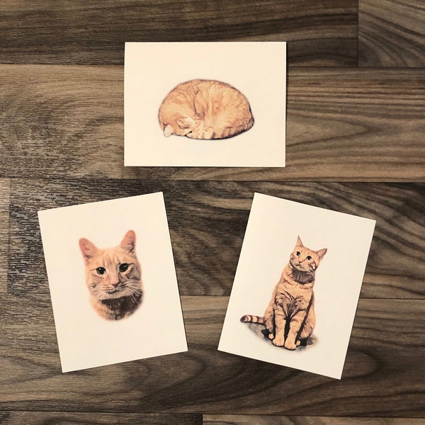 Set of 6 or 12 Handmade Blank Orange Tabby Ginger Cat Collection Note Cards