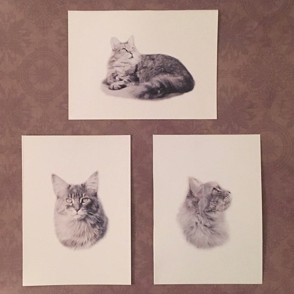 Set of 6 or 12 Handmade Blank Maine Coon Cat Print Note Cards
