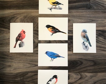 Set of 6 or 12 Handmade Blank All Birds Bright & Beautiful Collection Note Cards