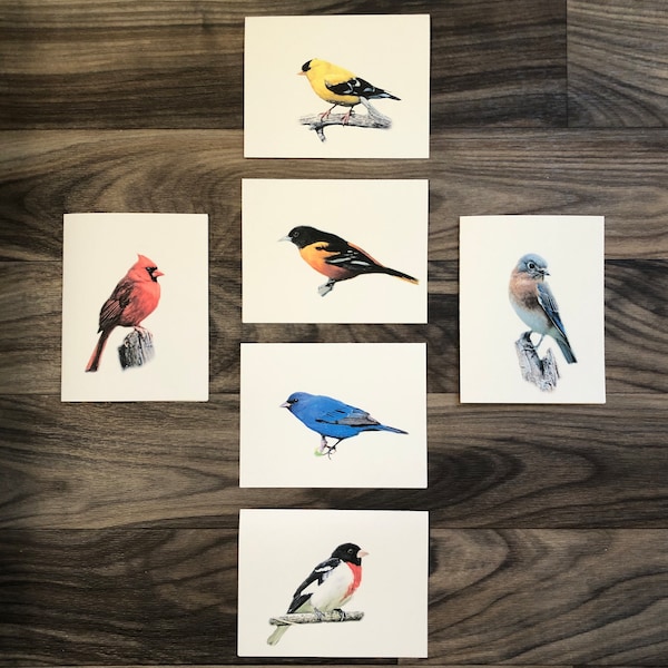 Set of 6 or 12 Handmade Blank All Birds Bright & Beautiful Collection Note Cards