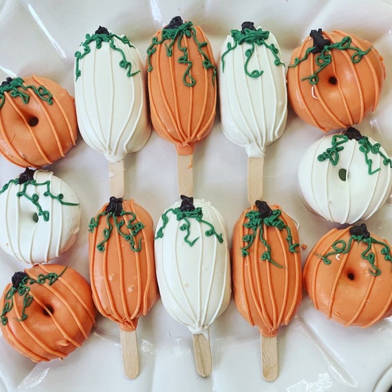 Pretty Pumpkin Cakesicles/Cake Pops and matching Donuts Fall Etsy