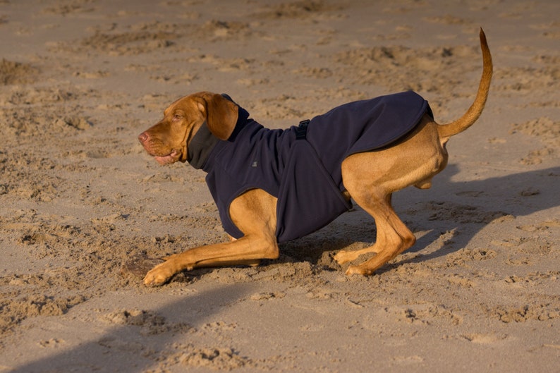Maßgeschneiderte Hundemäntel für alle Rassen Wasser und Winddichter Wintermantel für Hunde mit Außen Softshell und Innen Fleece Bild 2