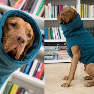 Custom Fleece Dog Coat: Warm Winter Apparel for All Breeds