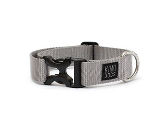 SILVER - Friday evening polyamide webbing buckle dog collar with YKK plastic hardware