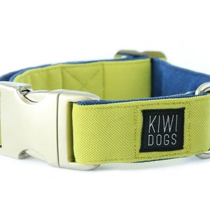 May include: A lime green and navy blue dog collar with a silver buckle and a black label that says "KIWI DOGS".