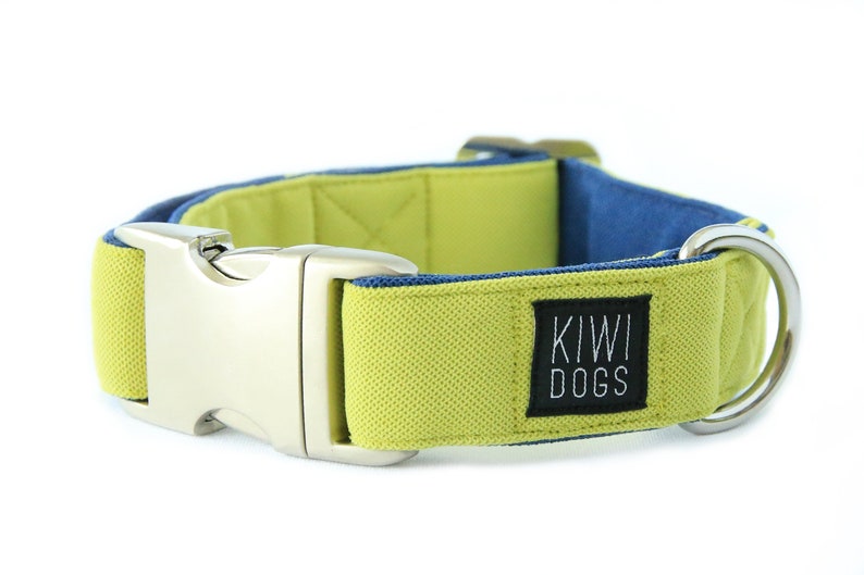 May include: A lime green and navy blue dog collar with a silver buckle and a black label that says "KIWI DOGS".