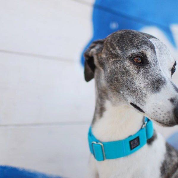 dog collar - BLUE martingale dog collar - minimalistic, durable, lightweight dog collar, greyhound dog collar