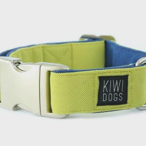 Green & Blue Sporty Dog Collar: Soft, Durable, with Aluminum Buckle image 2
