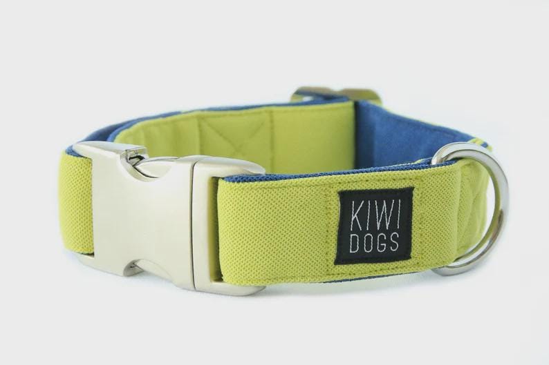 Green & Blue Sporty Dog Collar: Soft, Durable, with Aluminum Buckle image 2