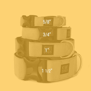 Puede incluir: Cuatro collares de perro de diferentes tama&ntilde;os apilados uno encima del otro. Los collares est&aacute;n hechos de un material de lona y tienen hebillas negras. Los collares est&aacute;n etiquetados con los tama&ntilde;os 5/8", 3/4", 1" y 1 1/2".