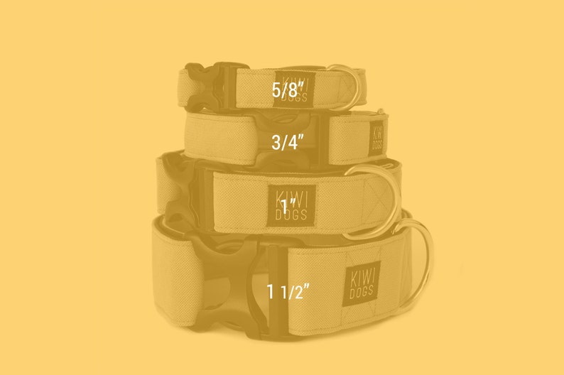 Puede incluir: Cuatro collares de perro de diferentes tama&ntilde;os apilados uno encima del otro. Los collares est&aacute;n hechos de un material de lona y tienen hebillas negras. Los collares est&aacute;n etiquetados con los tama&ntilde;os 5/8", 3/4", 1" y 1 1/2".