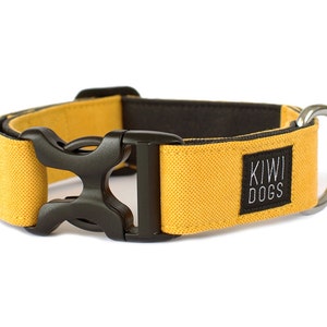 Puede incluir: Un collar de perro amarillo con una hebilla negra y un parche negro que dice "KIWI DOGS".