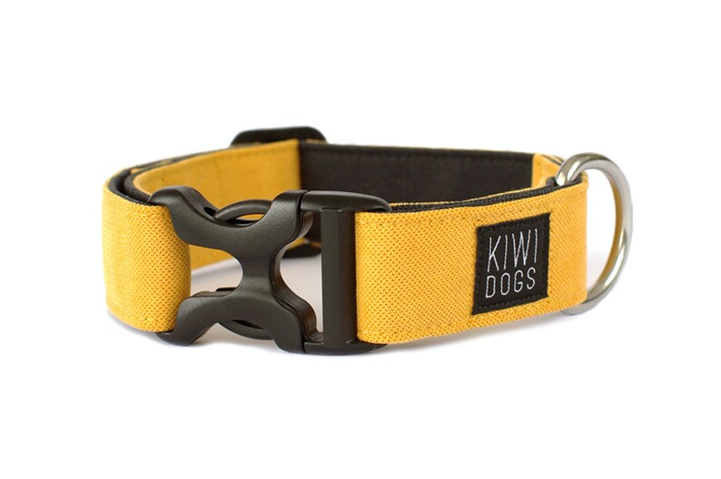 Puede incluir: Un collar de perro amarillo con una hebilla negra y un parche negro que dice "KIWI DOGS".
