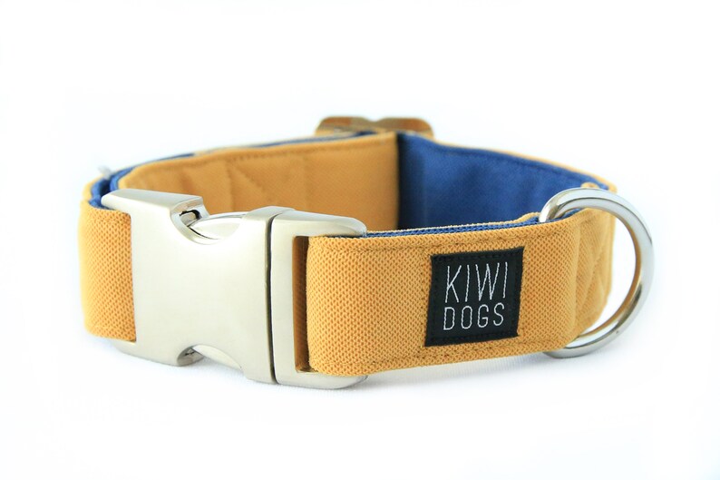 dog collar SAND/BLUE buckle sporty, soft, minimalistic, durable, dog collar with aluminium buckle and heavy duty D-ring image 1