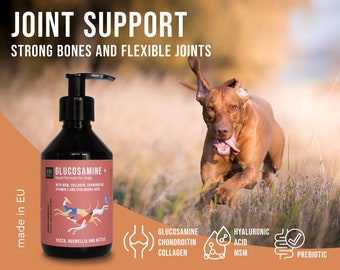 GLUCOSAMINE+ für Hunde mit MSM, Collagen, Chondroitin, Hyaluronsäure und Yucca, Boswellia & Brennnessel-Extrakt, Futterergänzung für Hunde