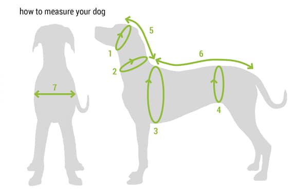 DOG COAT for All Breeds Custom Made Dog Waterproof Windproof Winter Coat Dog Coat With Outer Softshell and Inner Fleece Etsy