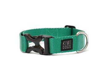 TURQUOISE - Friday morning polyamide webbing buckle dog collar with YKK plastic hardware