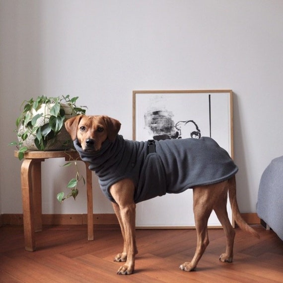 Hunde Jumpsuit Ganzkörper Mit Beinen - Warmes Fleece Für Winter, 8 Größen