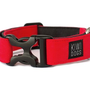 Puede incluir: Un collar rojo para perros con hebilla de plástico negro y anilla en D de metal plateado. El collar tiene interior negro y una pequeña etiqueta negra con el texto "KIWI DOGS" en blanco.