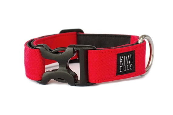 Rotes sportliches Hundehalsband - Leichtes Halsband fr Abenteuer - Etsy.de