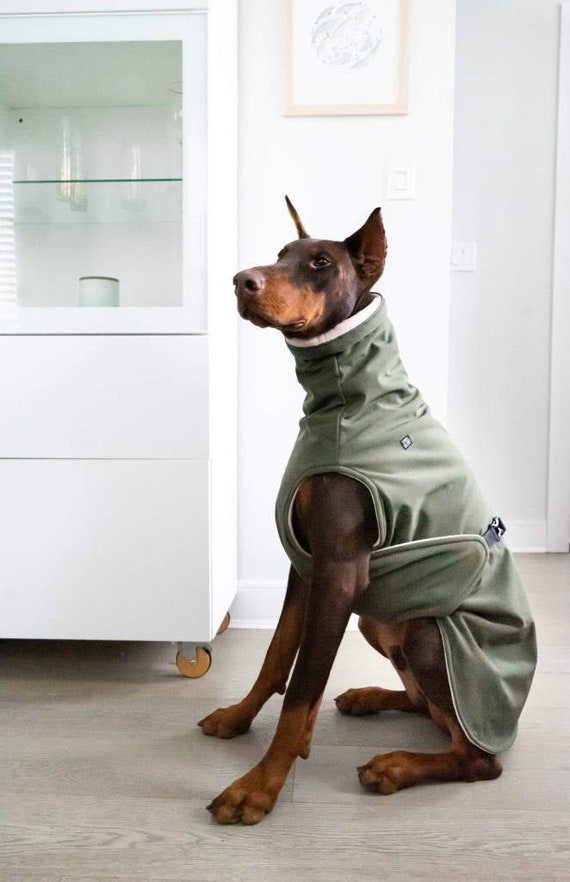 Custom made 2025 dog clothes